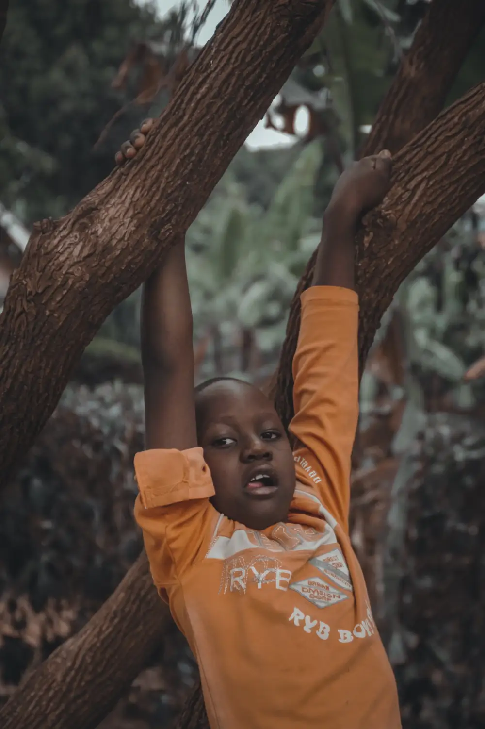 Boy using tree as swing