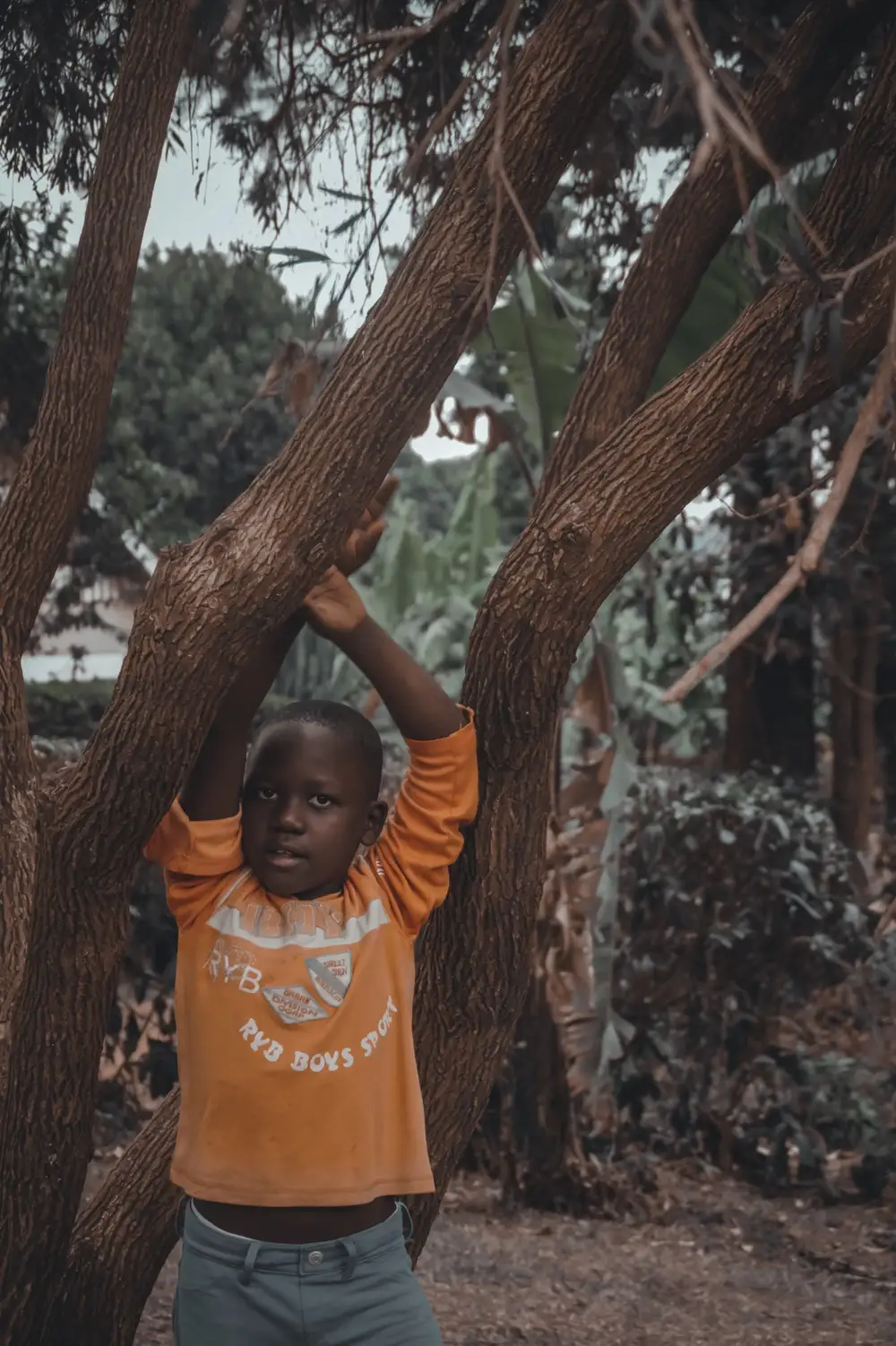 Boy resting under a tree