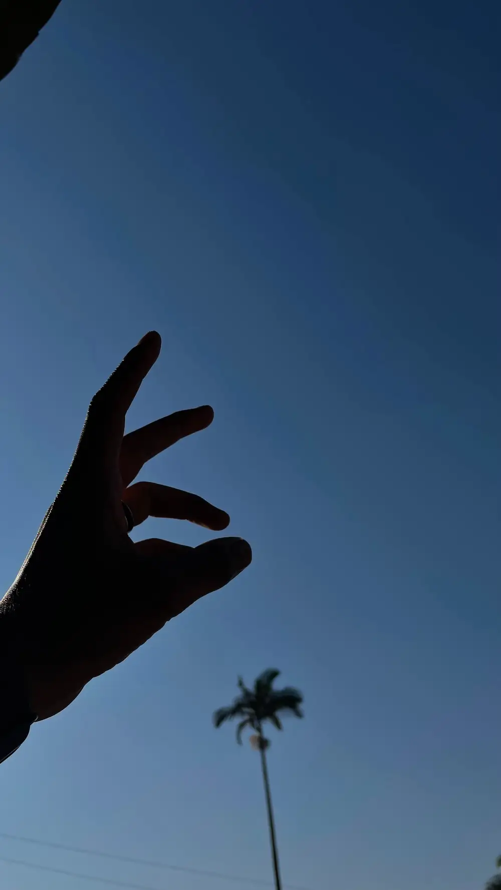 Hands pointing to the sky