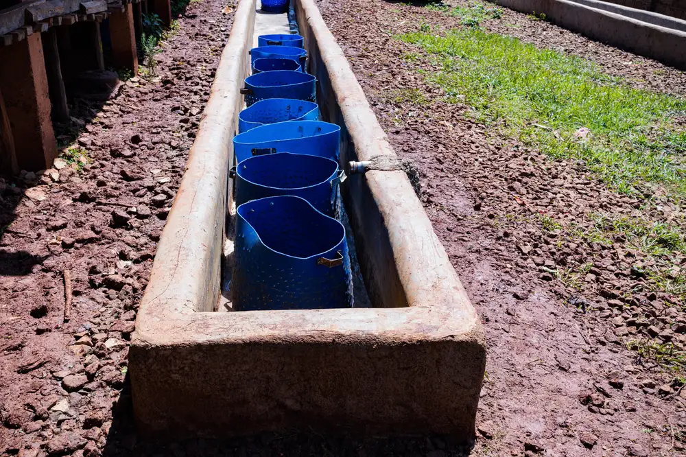Water Supply channel on the farm