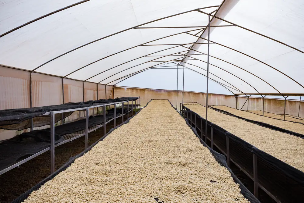 Farm Seed Storage Facility