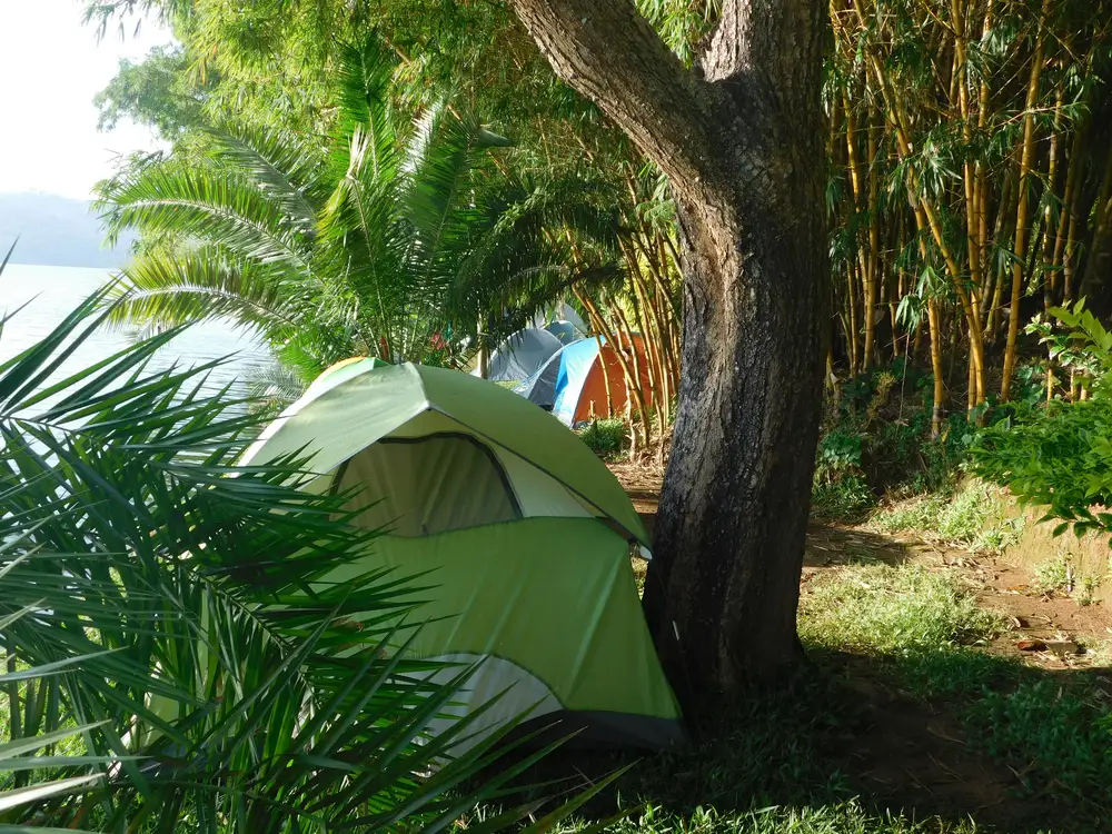 Small tent under a tree
