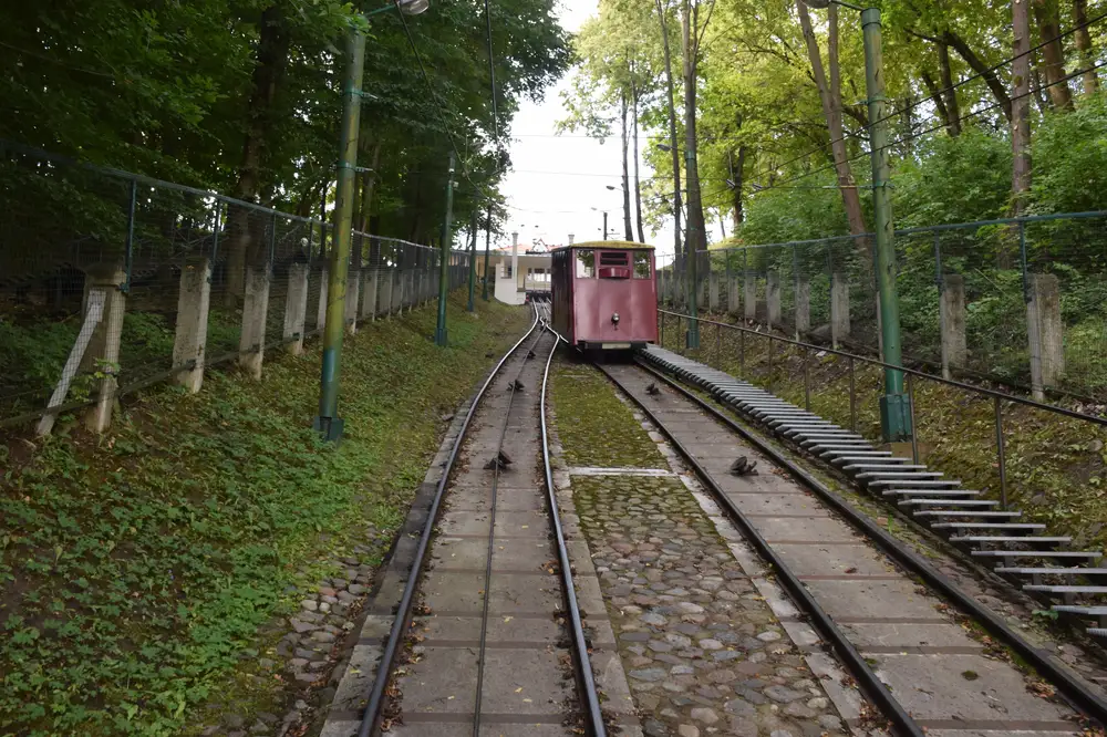 Transport vehicle on railway tracks with poles and trees on the sides