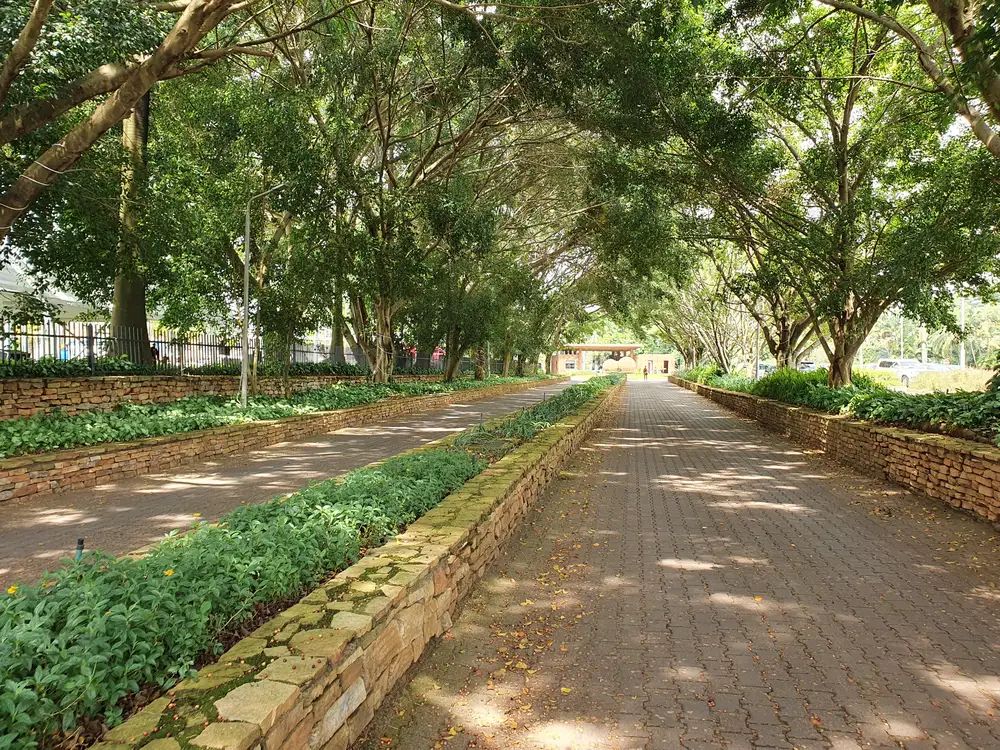 Interlocking walk path surrounded by trees