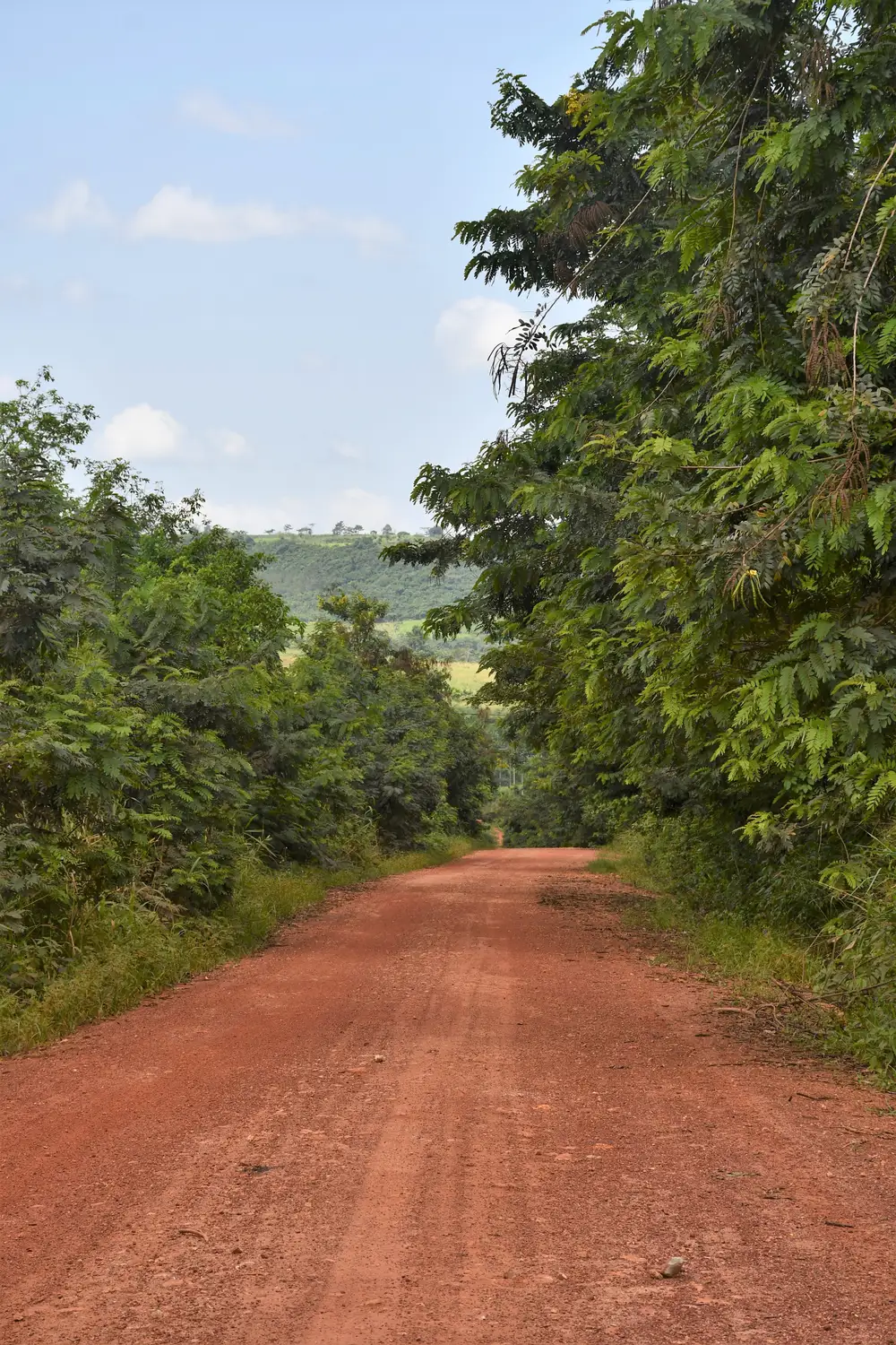 Sandy road path Africa