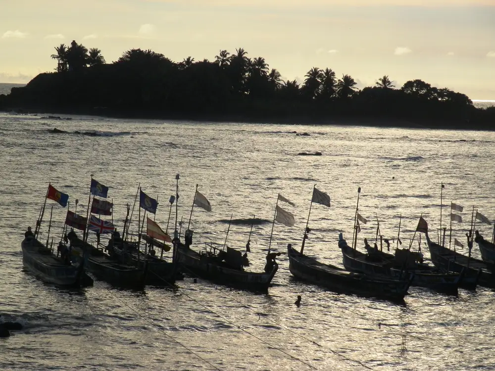 Boats with different flags on the river and a palm tree island