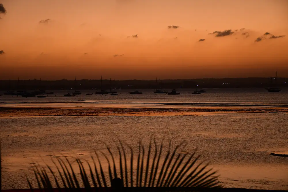 night time river view with boats and sunset