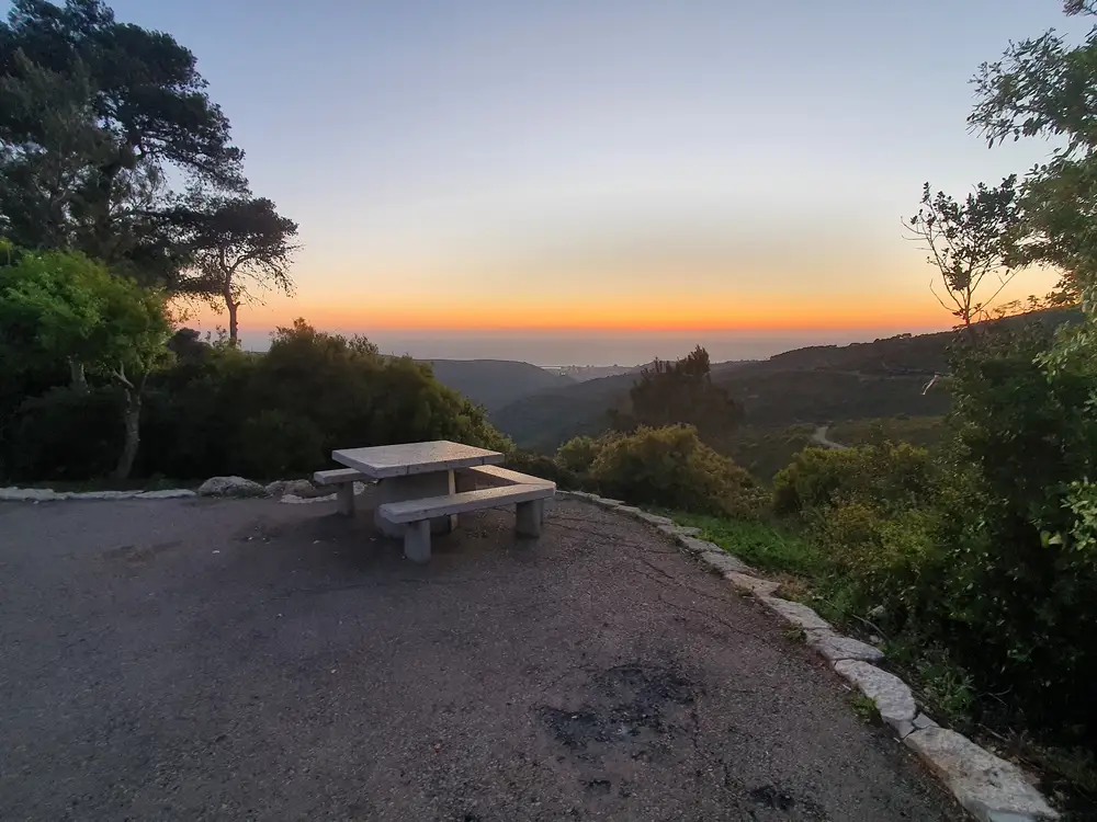 marble table and chair on tarred road surrounded by trees and forest