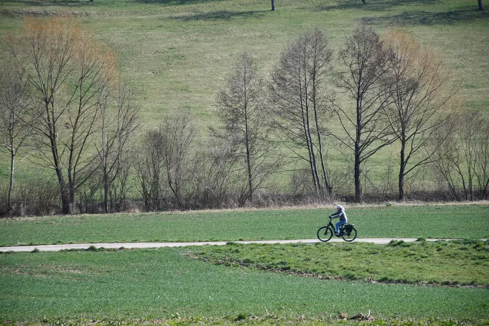 white person on bicycle going down a path with vast land with trees on the side