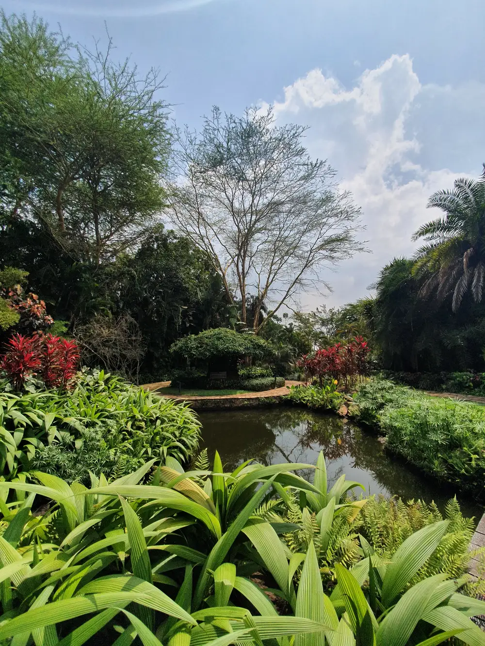 beautiful garden with small pool