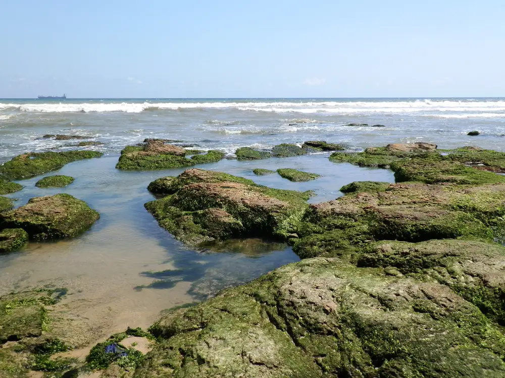 landscape view on sea