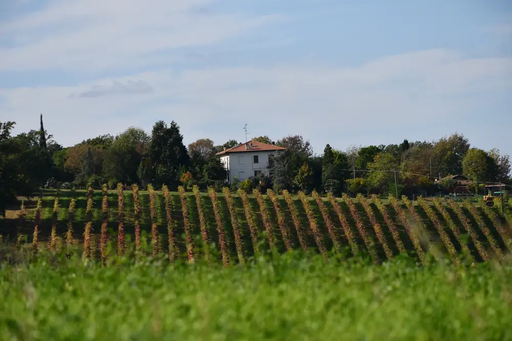 Farm