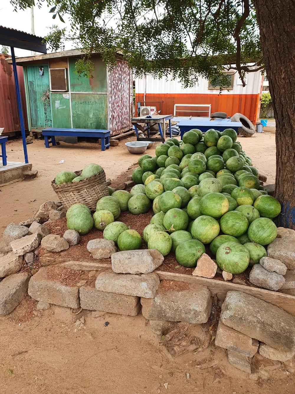 Watermelons