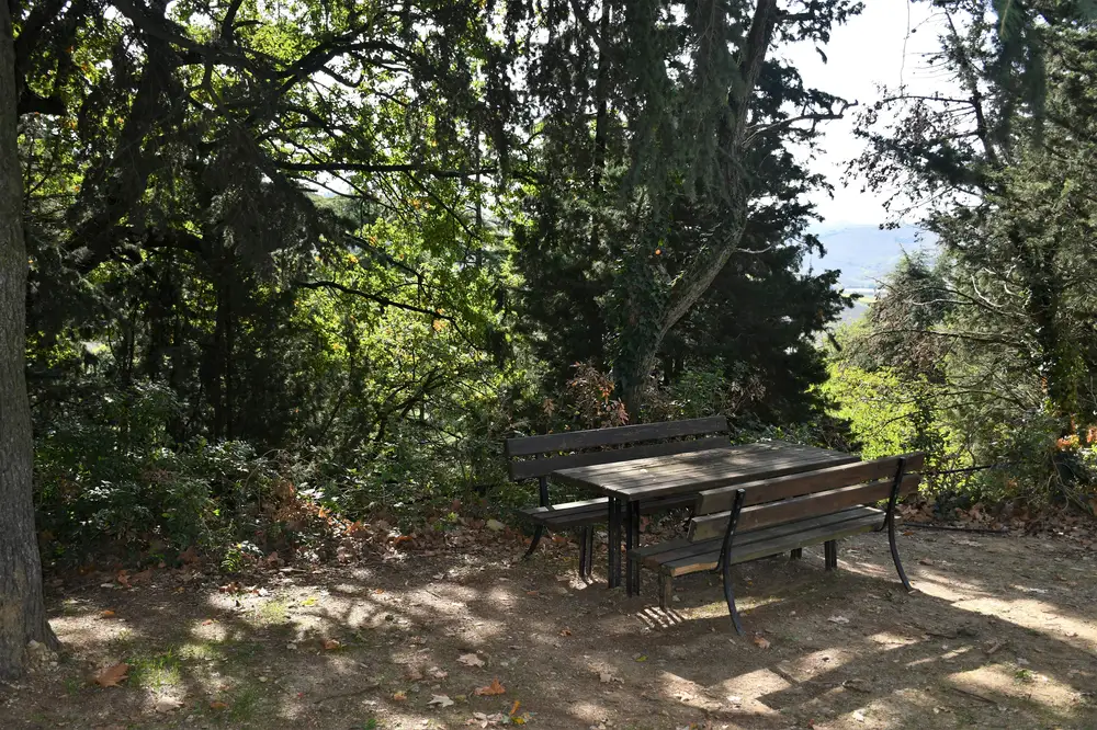 Table and Chairs in the woods