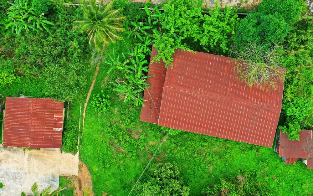 Top View Of House In A Plantation