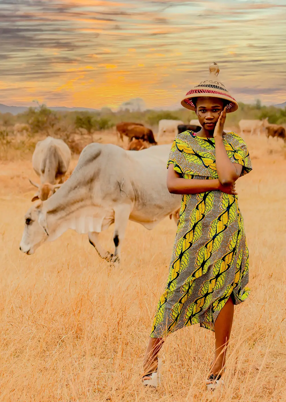 Lady standing beside cows