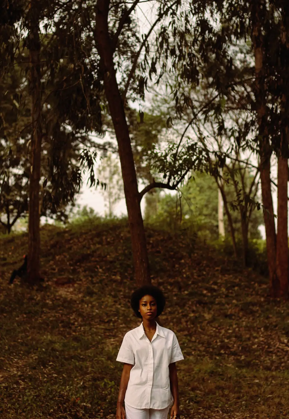 A Woman in White Button Down Shirt Standing Near Tall Trees in the Forest