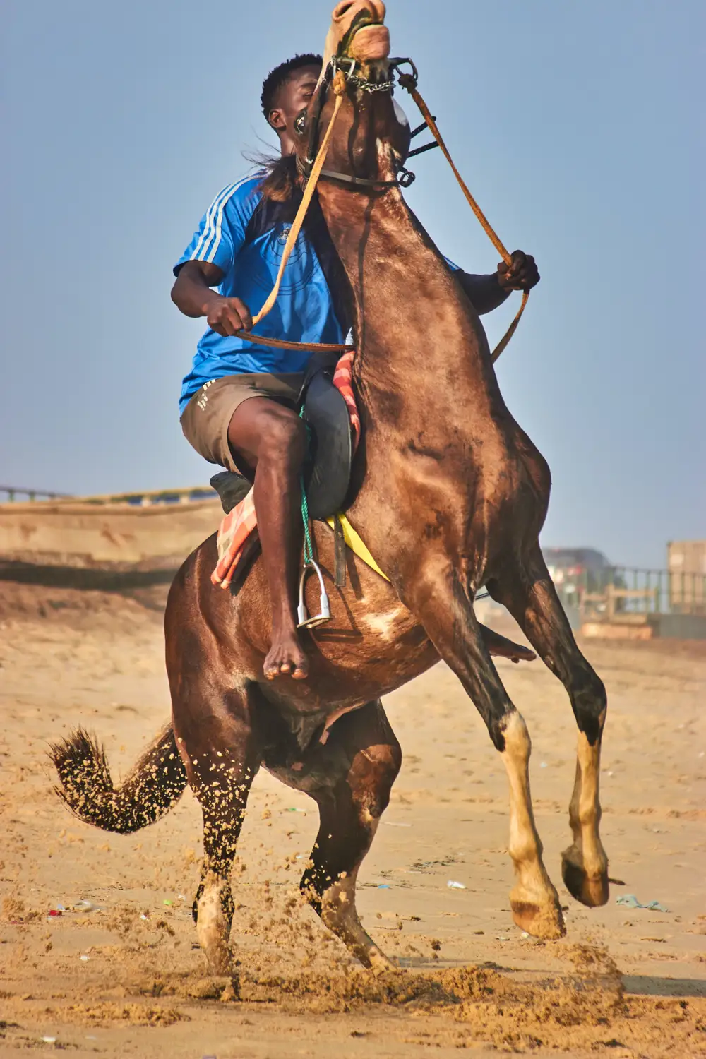 A man riding a Horse