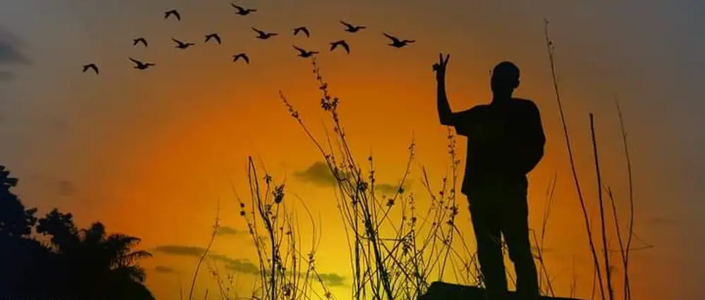 The serenity of life