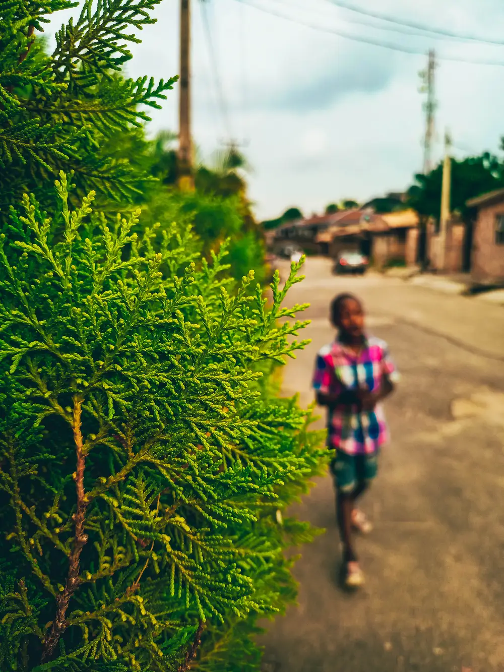 Blur Children on street Behind Garden