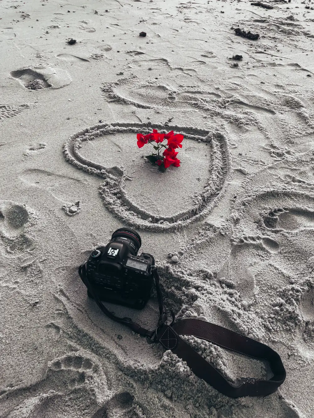 Camera on sand