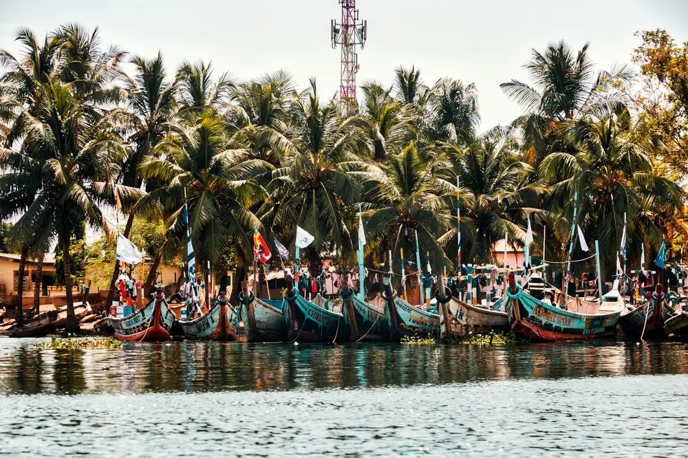 Lined up boats