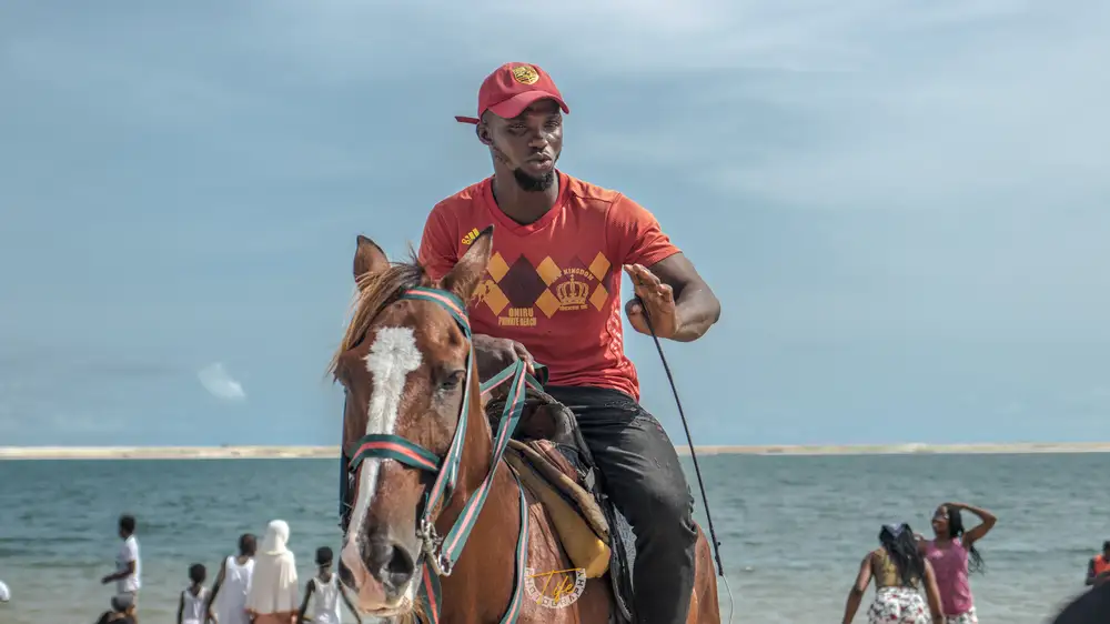 Horsing Around