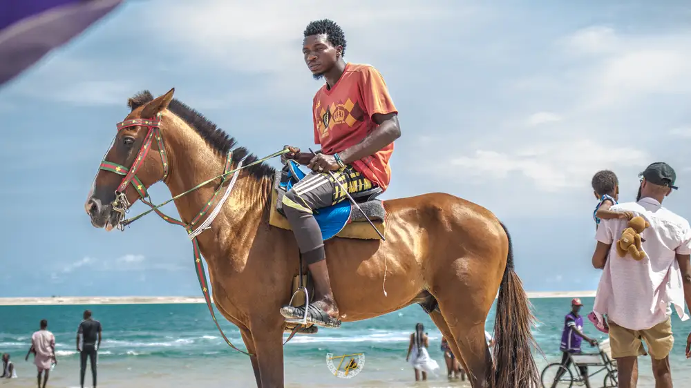 Horse Riding