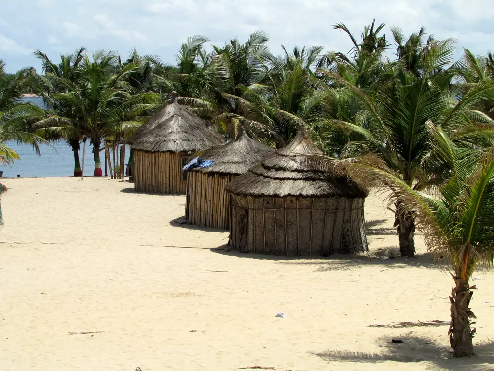 huts and trees on a beach