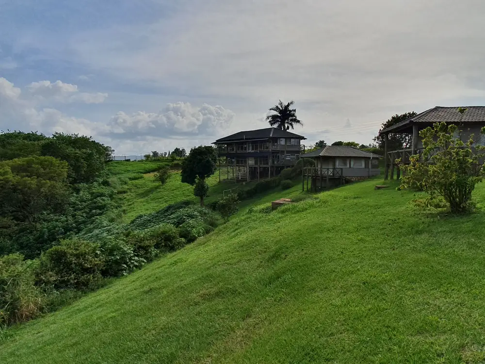 houses in the woods