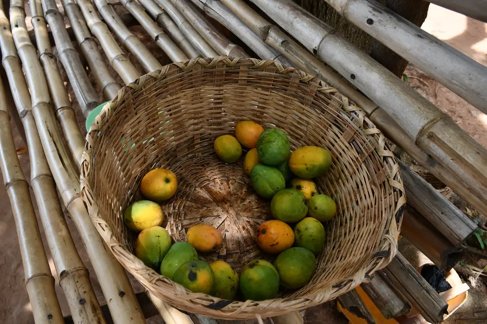 mangoes in a basket