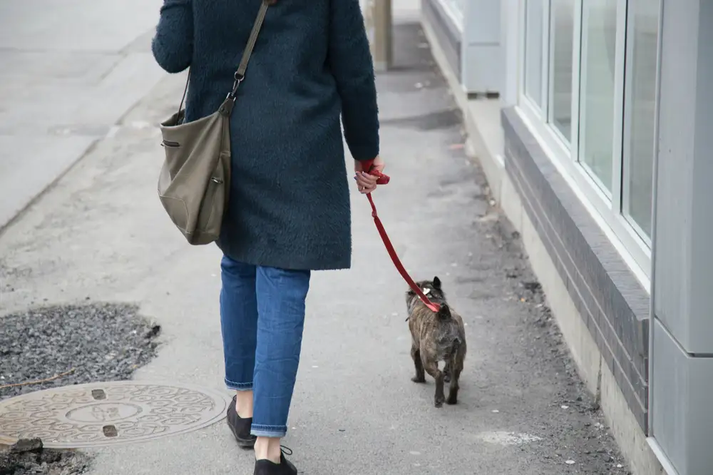Woman walking her puppy
