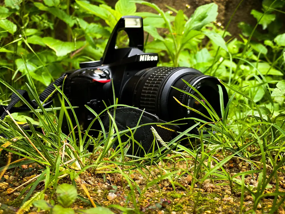 Camera in a grass field
