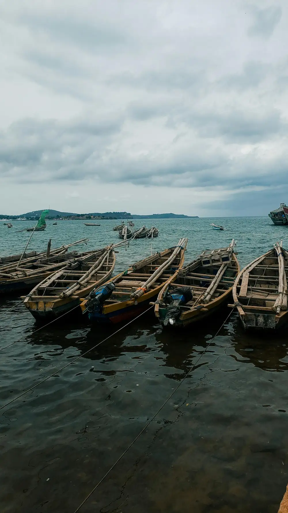 canoes on water