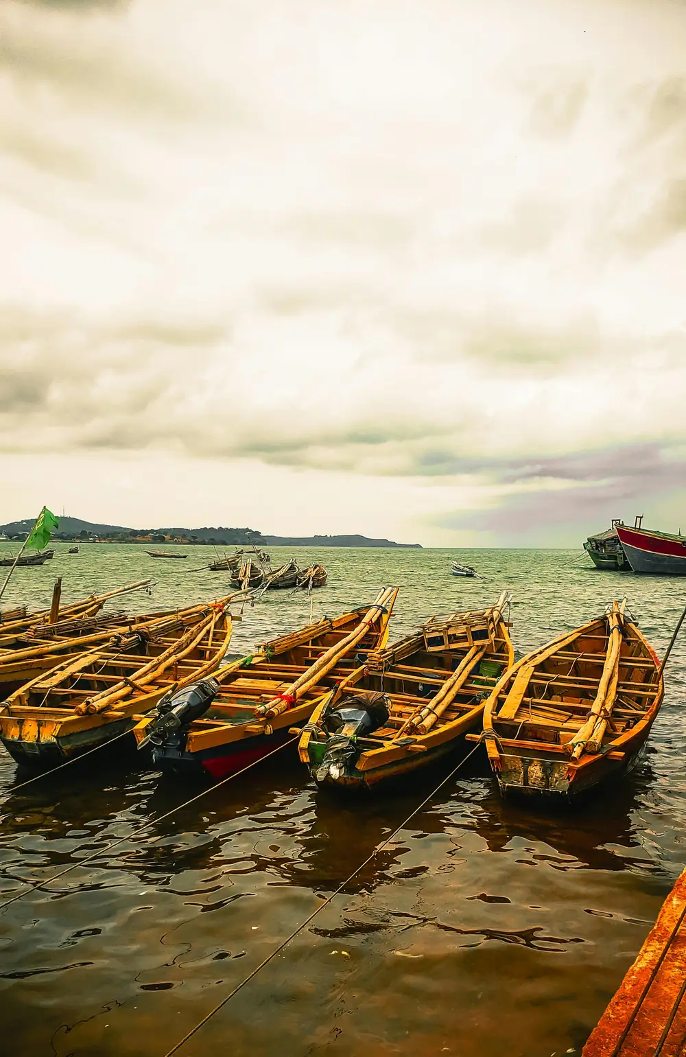 canoes on water