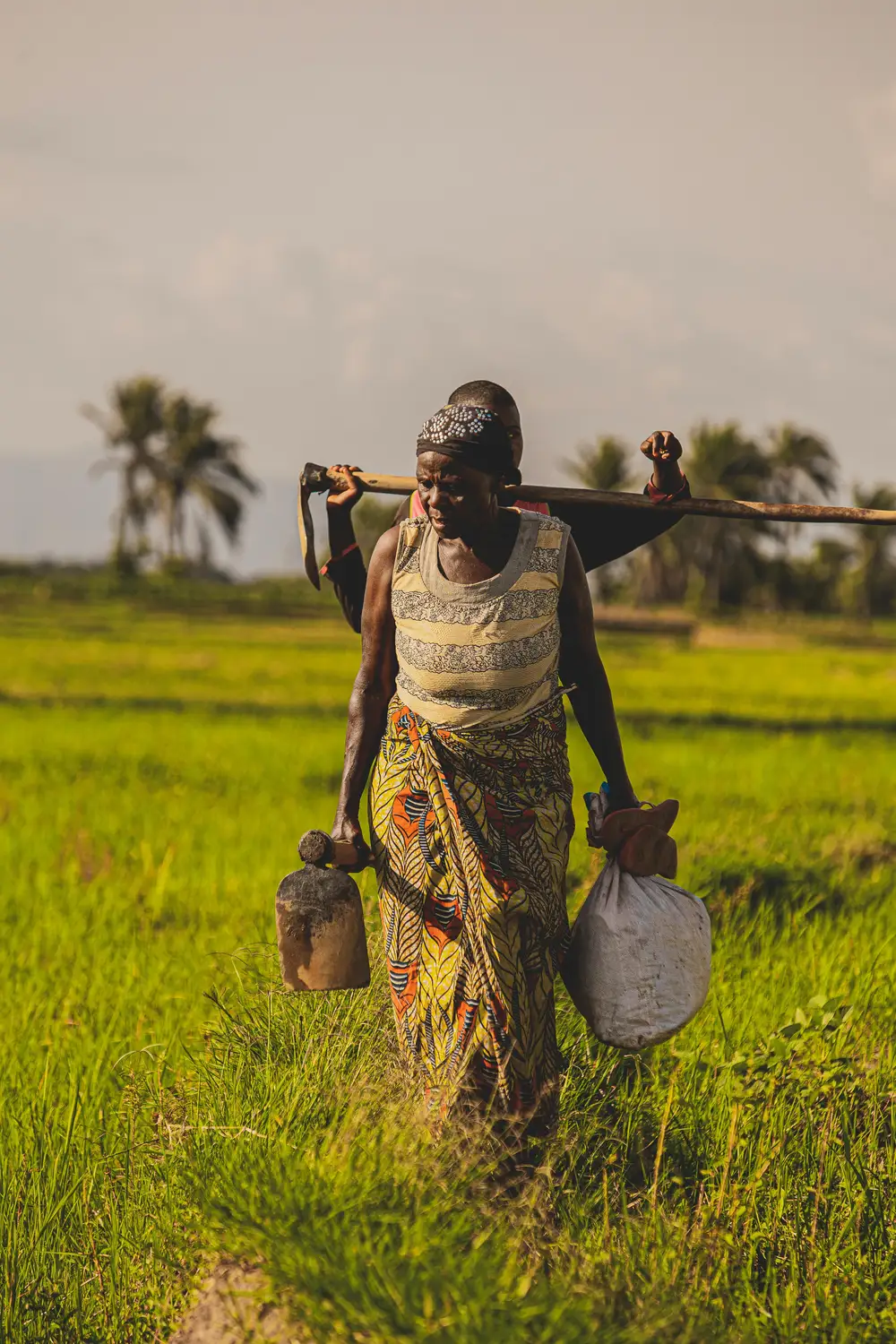 people on a farmland