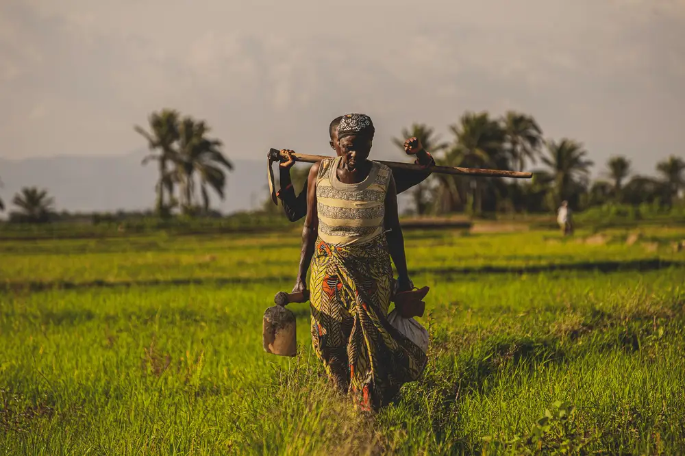 people on a farmland