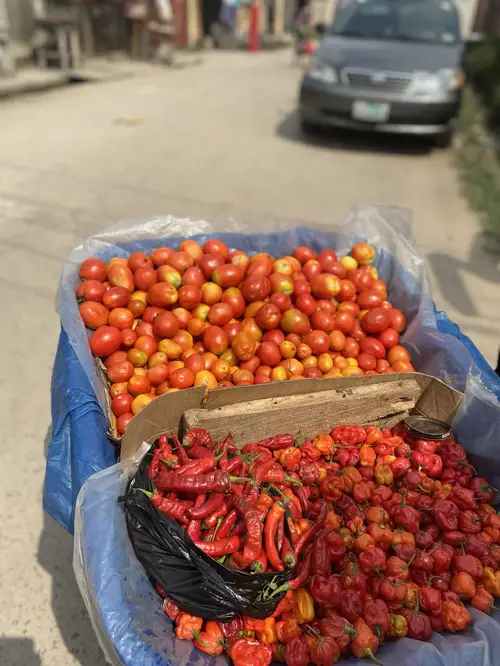 PEPPER AND TOMATOES