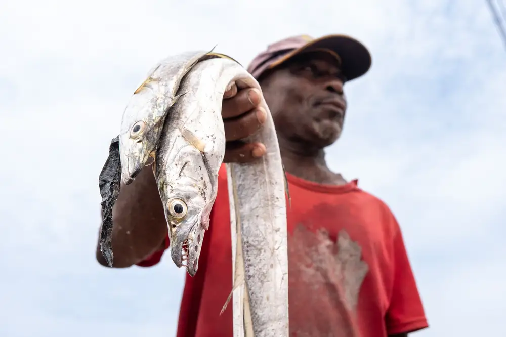 Postcards from The Gold Coast